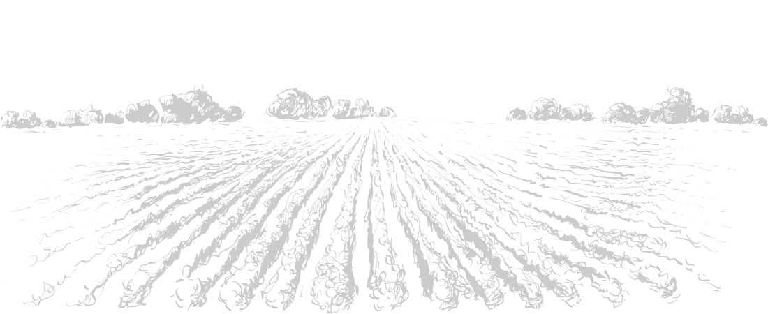 background-texture
